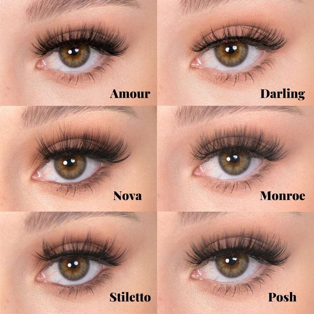 Amour Lashes - Posh Lash Professional Inc