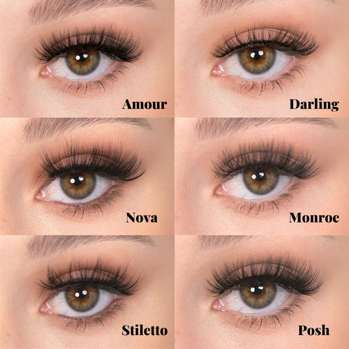 Natural x Glam Combo - Posh Lash Professional Inc
